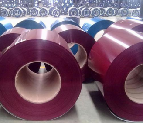 Type 317 Polished Cold Rolled Stainless Steel Coil